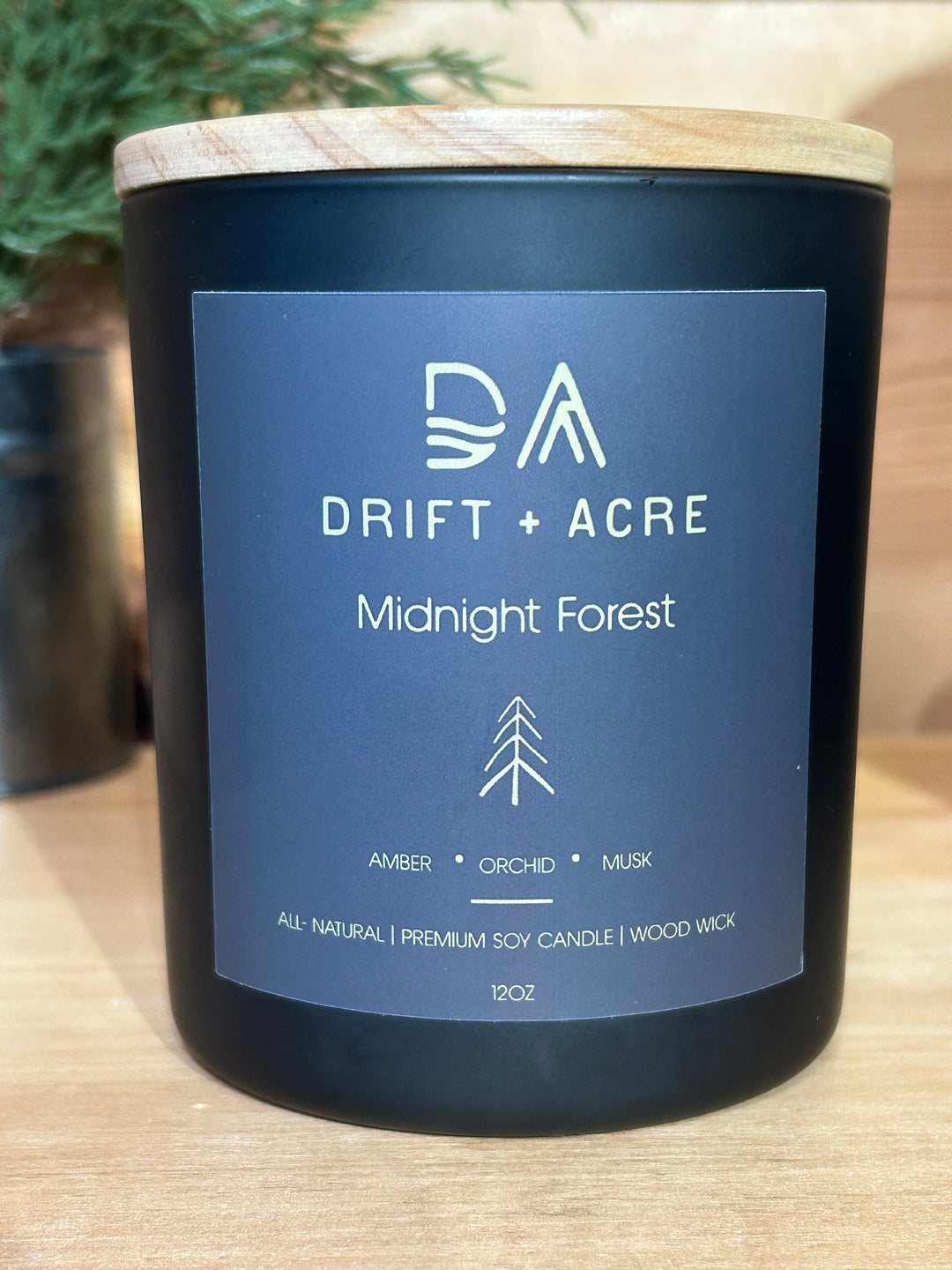 Midnight Forest