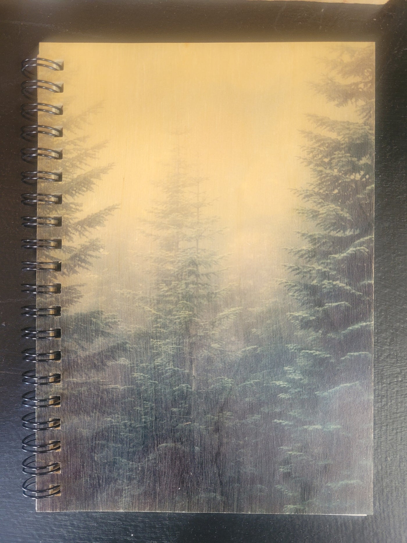 Nature Journal
